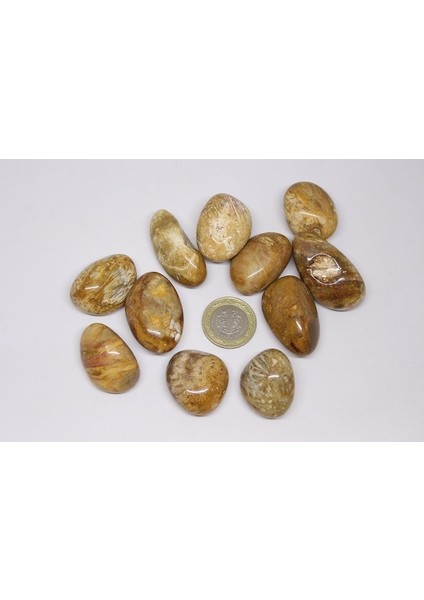 Tibet Akik Taşı ( 20-29 Gram) modelleri