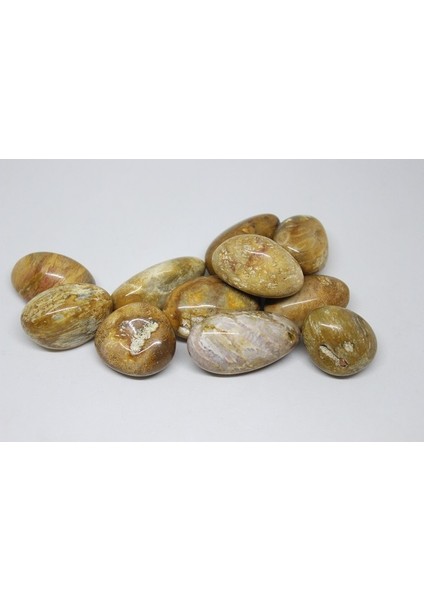 Tibet Akik Taşı ( 20-29 Gram) fırsatları