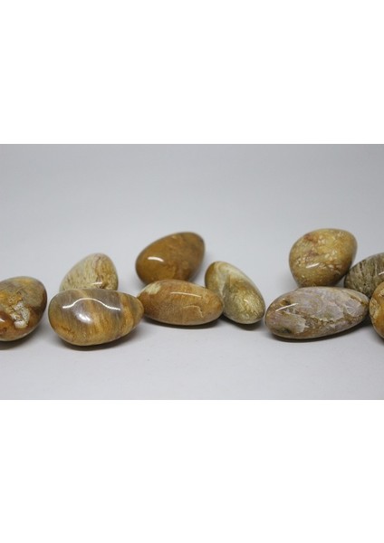 Tibet Akik Taşı ( 20-29 Gram) indirimleri