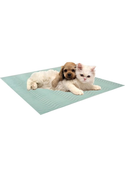 3'lü Paket 5 Katlı Kapitoneli, Yıkanabilir, Sıvı Geçirmez Köpek Çiş Pedi 75 x 90 cm