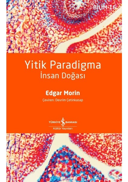 Yitik Paradigma – Insan Doğası – Edgar Morin