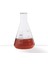 500 ml Erlen (Dar Boyun) 1