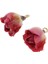 6x 2x Reçine Gerçek Çiçekler Takı Yapımı Kolye Moda Çiçek Için Charms (Yurt Dışından) 5