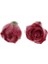 2x Moda Kurutulmuş Gül Küpe Dekor Kulak Damızlık Kolye Dıy Küpe Takı Kırmızı (Yurt Dışından) 1