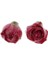 2x Moda Kurutulmuş Gül Küpe Dekor Kulak Damızlık Kolye Dıy Küpe Takı Kırmızı (Yurt Dışından) 2