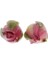 2x 2 Adet Reçine Takı Moda Çiçek Tomurcuk Için Gerçek Çiçekler Charms (Yurt Dışından) 1