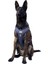 Cecepet Cool Walk Premium Köpek Göğüs Tasması 1
