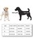 Cecepet Cool Walk Premium Köpek Göğüs Tasması 4
