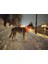 Ayarlanabilir USB Şarj Pet Köpek Tasması LED Gece Yanıp Sönen Aydınlık (Yurt Dışından) 2