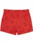 Erkek Çocuk Tom The Cat Short 2