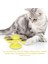 Kedi Aktivite Oyuncağı (Yurt Dışından) 4