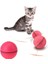Kedi Aktivite Oyuncağı (Yurt Dışından) 3