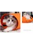 Kedi Aktivite Oyuncağı (Yurt Dışından) 4