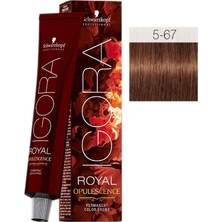 Schwarzkopf Igora Royal Opulescence 5-67 Açık Kahve Çikolata Bakır (Yeni)