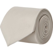 ALTINYILDIZ CLASSICS Erkek Gri Desensiz Gri Kravat