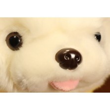 Xinhang 25 cm. Sevimli Soyunma Yavru Peluş Oyuncaklar Pomeranian Doldurulmuş ve Peluş Hayvanlar (Yurt Dışından)