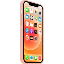 NFZ Apple iPhone 12 Pro Silikon Kılıf Logolu Lansman Kılıf -Toz Pembe