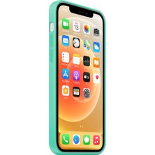 NFZ Apple iPhone 12 Pro Silikon Kılıf Logolu Lansman Kılıf -Turkuaz