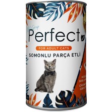 Perfect Kediler Için Somonlu Parça Etli Konserve Yaş Mama