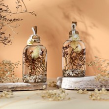 Imperiums Dekoratif Kandil Mum 100 ml Deniz Kabuğu 2'li Set