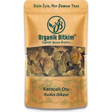 Organik Bitkim Karaçalı Otu 250 gr Doğal Taze