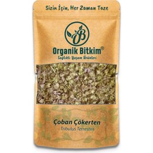 Organik Bitkim Çoban Çökerten (Tribulus) 500 gr