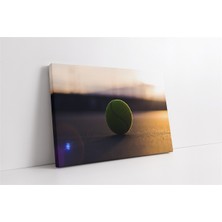 Tablosan Makro Tenis Topu Kanvas Tablo