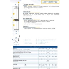 Bcpet1,2-50 (4 Ton 50 M) Dalgıç Pompa