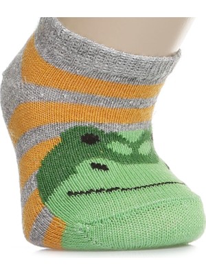 Albio Dino 3lü Patik Çorap