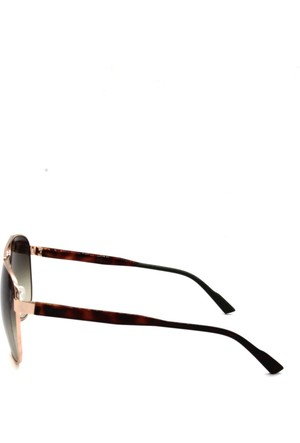 progressive Clinic Sideways Calvin Klein Erkek Güneş Gözlükleri ve Fiyatları - Hepsiburada.com