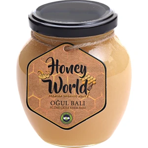 Honey World Organik Oğul Balı Süzme Çiçek Krem Balı 470 Gr