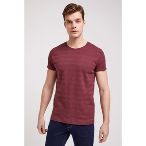 Lee Cooper  Pamuklu Regular Fit Bisiklet Yaka T Shirt Erkek T Shirt 222 Lcm 242053 3853