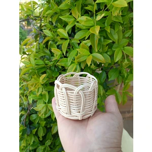 Bambu Sukulent Saksısı