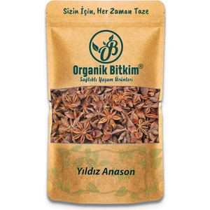 Organik Bitkim Yıldız Anason Iri Taneli 100 gr