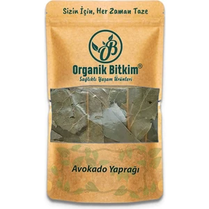 Organik Bitkim Avokado Yaprağı 250 gr Doğal Taze
