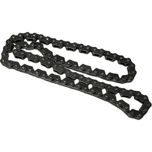 Eksantrik Zinciri Cygnus-L