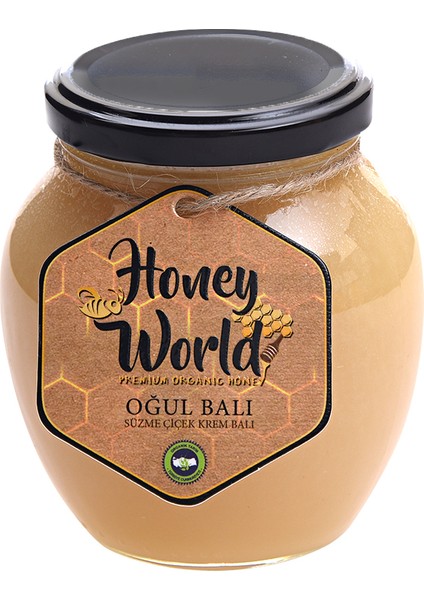 Organik Oğul Balı Süzme Çiçek Krem Balı 470 Gr