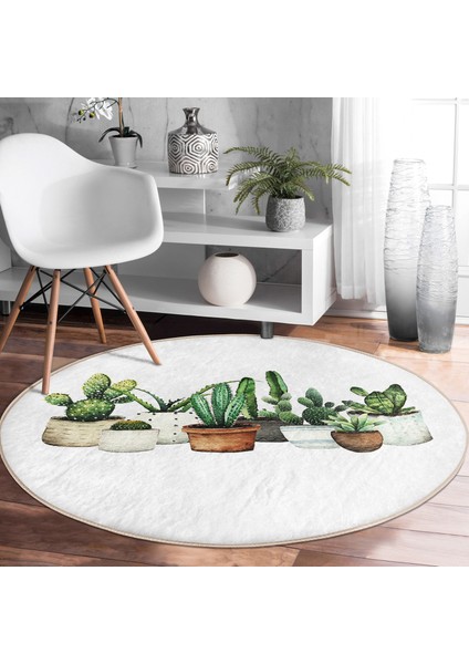 Real Homes Realhomes Beatiful Cactus Dijital Baskılı Yeşil Outdoor Yıkanabilir Kaymaz Tabanlı Yuvarlak Kadife Halı fırsatları