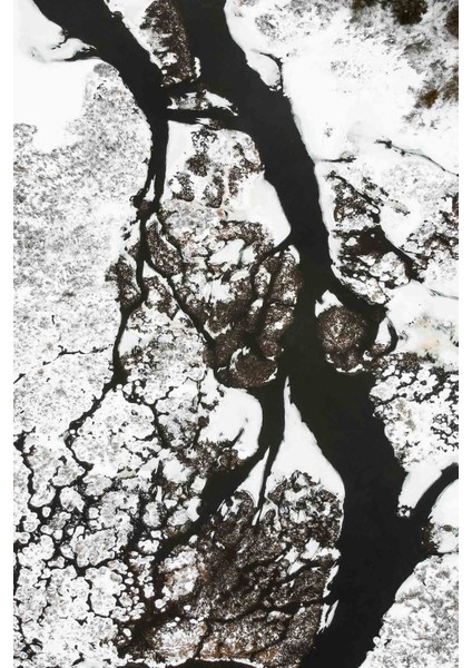 Halı Dekoratif Özel Tasarım Modern İnce Yıkanabilir 800 Gr /M2 Kaymaz Taban Trend Halı fiyatları