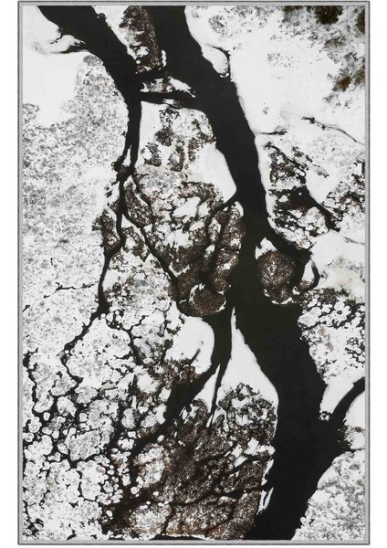 Halı Dekoratif Özel Tasarım Modern İnce Yıkanabilir 800 Gr /M2 Kaymaz Taban Trend Halı fırsatları