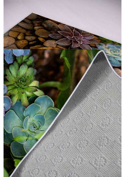 Halı Dekoratif Özel Tasarım Modern İnce Yıkanabilir 800 Gr /M2 Kaymaz Taban Trend Halı modelleri