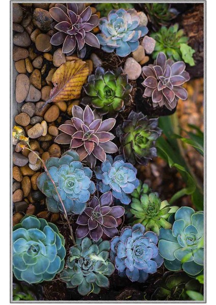 Halı Dekoratif Özel Tasarım Modern İnce Yıkanabilir 800 Gr /M2 Kaymaz Taban Trend Halı fırsatları