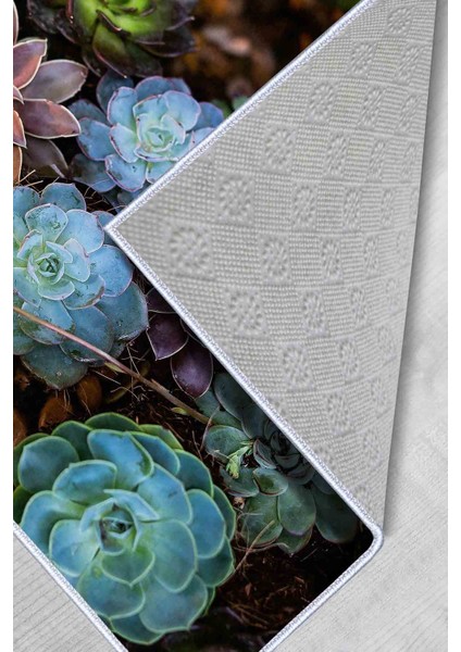 Halı Dekoratif Özel Tasarım Modern İnce Yıkanabilir 800 Gr /M2 Kaymaz Taban Trend Halı indirimleri