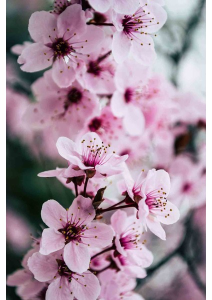 Halı Dekoratif Özel Tasarım Modern İnce Yıkanabilir 800 Gr /M2 Kaymaz Taban Trend Halı fiyatları