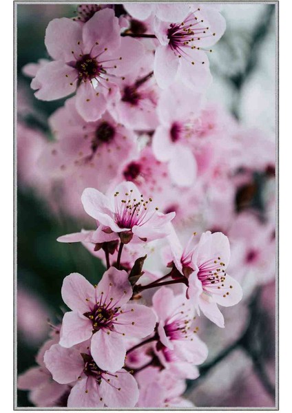 Halı Dekoratif Özel Tasarım Modern İnce Yıkanabilir 800 Gr /M2 Kaymaz Taban Trend Halı fırsatları