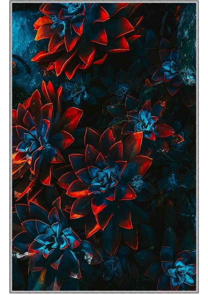 Halı Dekoratif Özel Tasarım Modern İnce Yıkanabilir 800 Gr /M2 Kaymaz Taban Trend Halı fırsatları