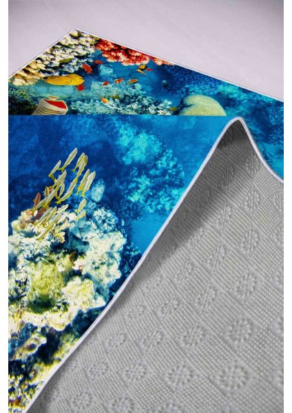 Halı Dekoratif Özel Tasarım Modern İnce Yıkanabilir 800 Gr /M2 Kaymaz Taban Trend Halı modelleri