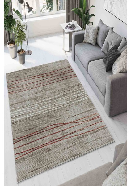 Halı Dekoratif Özel Tasarım Modern İnce Yıkanabilir 800 Gr /M2 Kaymaz Taban Trend Halı