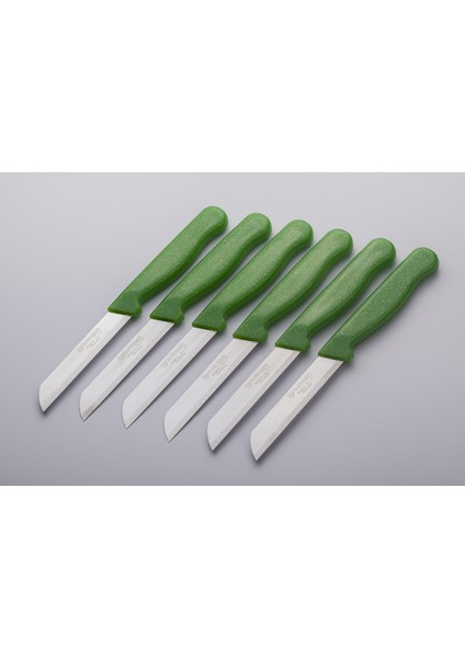 Meyve Sebze Bıçağı 6 Adet Simli Desen Açık yeşil (1.kalite,tırtıklı)