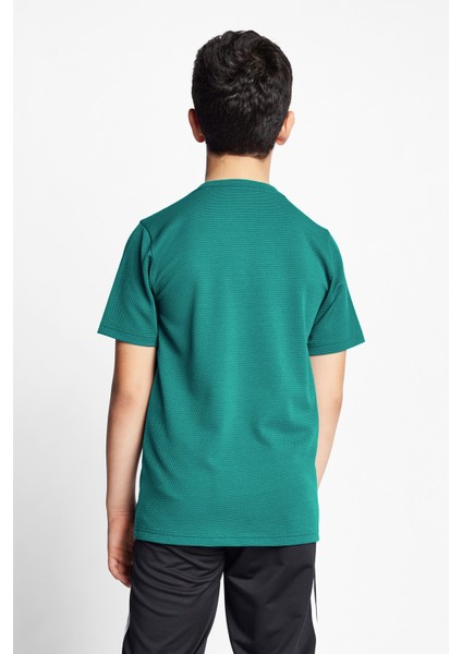 Turkuaz Çocuk Kısa Kollu T-Shirt 22S-3298-22N modelleri